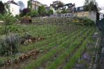 2013 05 02 montmartre 122